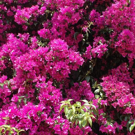 Villa Sol Empuriabrava Dış mekan fotoğraf